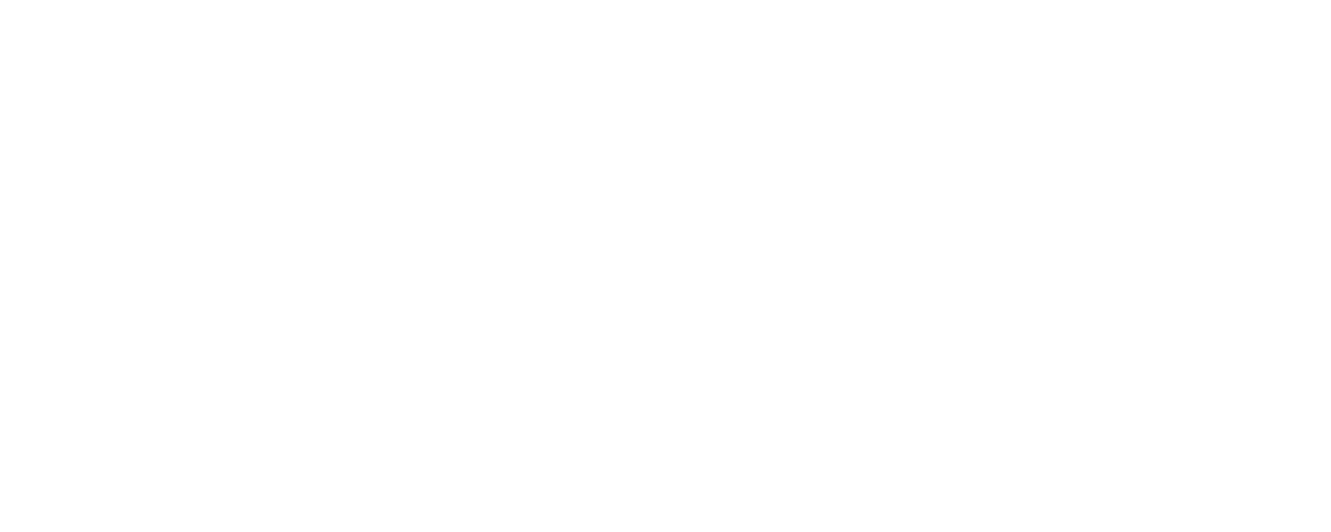 Artisan de solutions